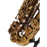 Schagerl Alto Sax 66FV-EC - imagine 6