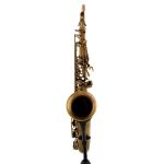 Schagerl Tenor Sax 66FV-EC - imagine 2