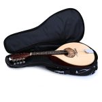 ORLANDO Mandolin case - imagine 4