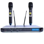 DSE W279 - set 2 microfoane wireless