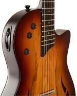Taylor T5z Classic Sassafras - imagine 4