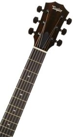 Taylor T5z Classic Sassafras - imagine 5