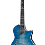 Taylor T5z Pro HB