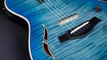 Taylor T5z Pro HB - imagine 3