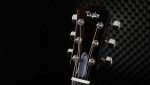 Taylor T5z Pro HB - imagine 4
