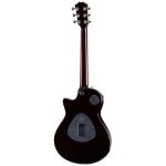 Taylor T5z Pro TSB - imagine 2