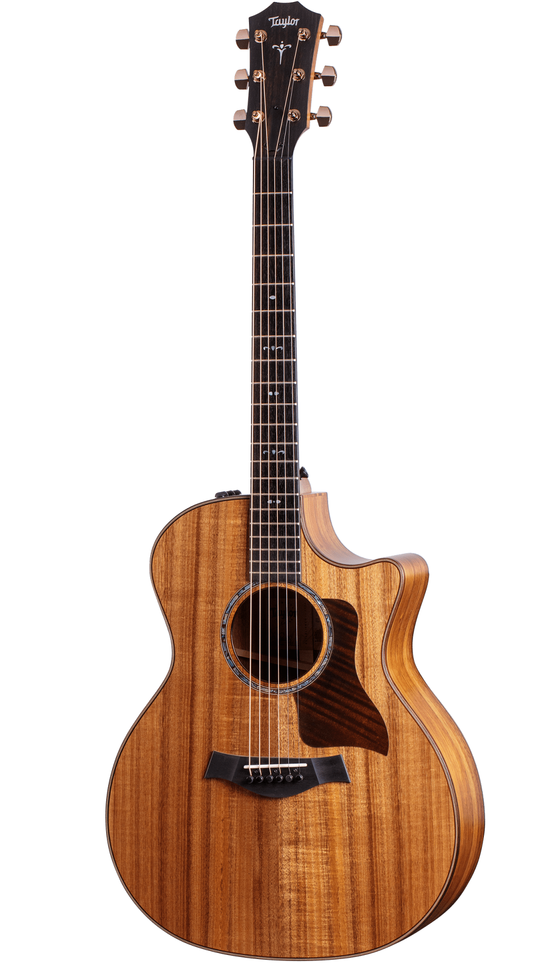 ps-products-21965-61040 Taylor 724ce - imagine 1