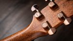 Taylor 724ce - imagine 3