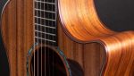 Taylor 724ce - imagine 11