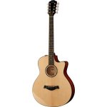 Taylor Custom GSce-LTD Baritone 8 - imagine 2