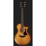 Taylor 512ce Urban Ironbark - imagine 2