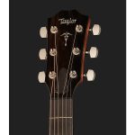 Taylor 512ce Urban Ironbark - imagine 4