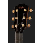 Taylor Custom 30 GS - imagine 3