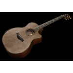 Taylor Custom 20 GA - imagine 6