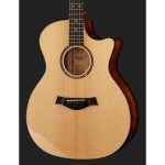 Taylor Custom GA-9 - imagine 3