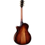 Taylor Builde`s Edition 914ce - imagine 4
