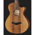 Taylor Custom 13 GC - imagine 3