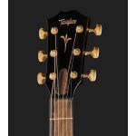 Taylor Custom 13 GC - imagine 5