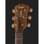 Taylor Custom 27 GC - imagine 5