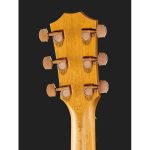 Taylor Custom 27 GC - imagine 6
