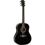 Taylor Custom 47 GP - imagine 2