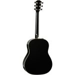 Taylor Custom 47 GP - imagine 3