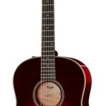 Taylor Custom 11 GP