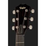 Taylor Custom 11 GP - imagine 5