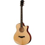 Taylor Custom GSce-LTD Baritone 6