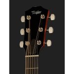 Taylor Custom GSce-LTD Baritone 6 - imagine 5