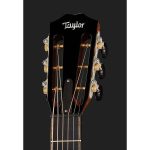 Taylor 912ce-12 Fret V-Class - imagine 5