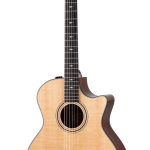 Taylor 314ce-N