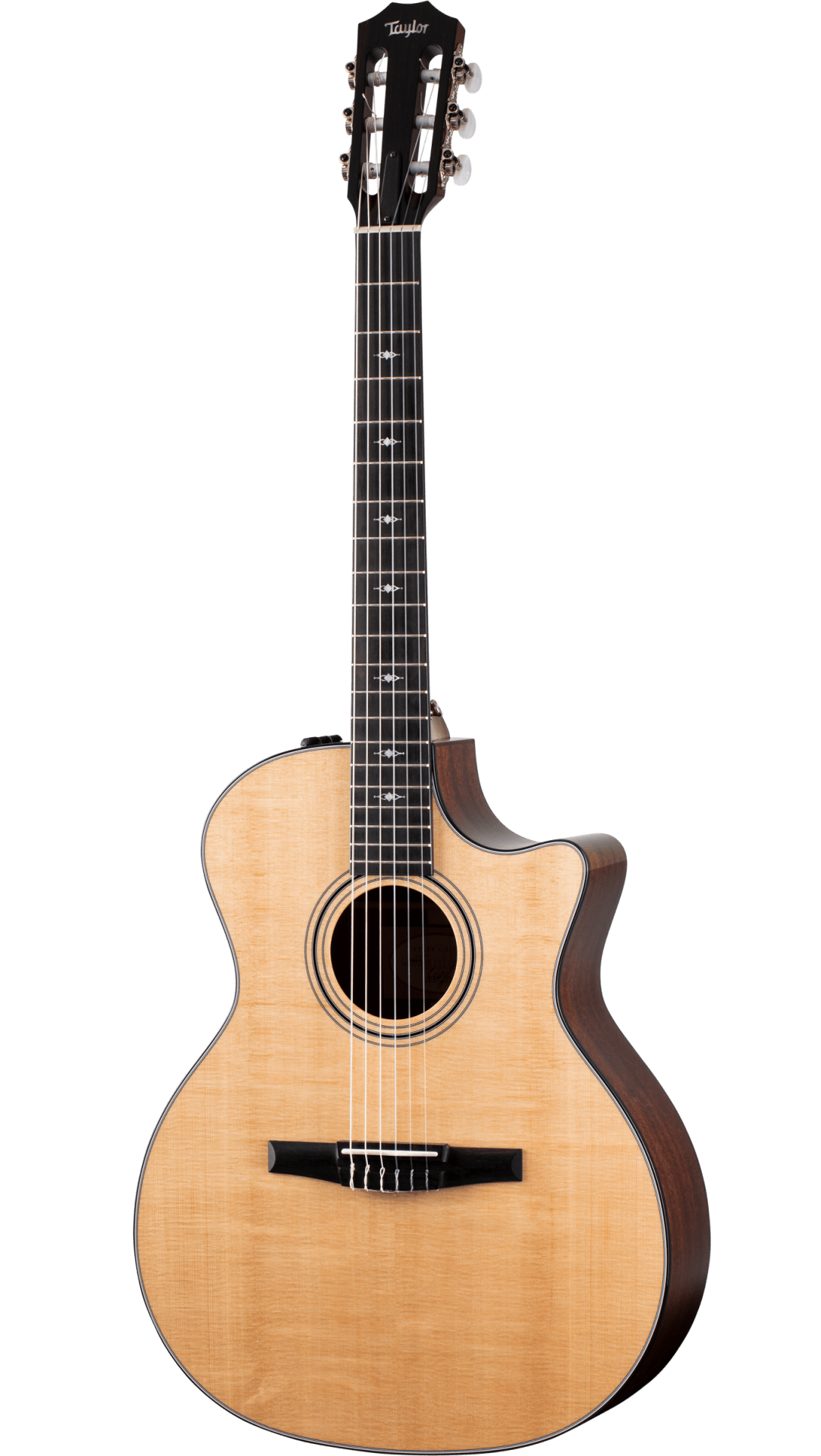 ps-products-21996-61206 Taylor 314ce-N - imagine 1