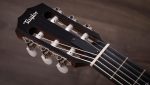Taylor 314ce-N - imagine 3