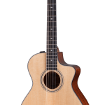 Taylor 312ce-N Nylon