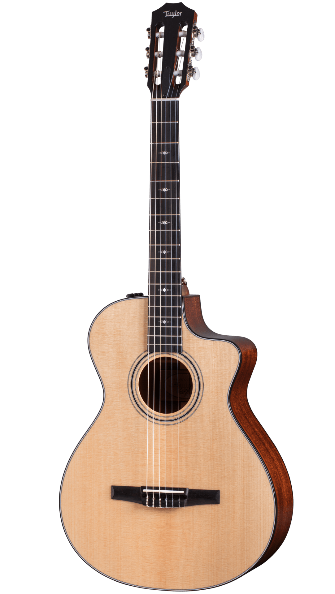 ps-products-21997-61211 Taylor 312ce-N Nylon - imagine 1