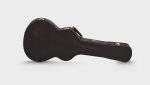Taylor 312ce-N Nylon - imagine 3
