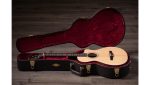 Taylor 312ce-N Nylon - imagine 4