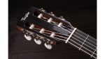 Taylor 312ce-N Nylon - imagine 5