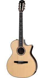 Taylor 814ce-N - imagine 2