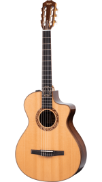 Taylor Jason Mraz Signature - imagine 2