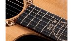Taylor Jason Mraz Signature - imagine 3
