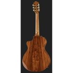 Taylor Custom 46 GC-N - imagine 2