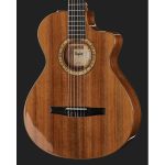 Taylor Custom 46 GC-N - imagine 3