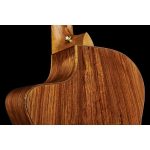 Taylor Custom 46 GC-N - imagine 7