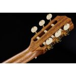 Taylor Custom 46 GC-N - imagine 10
