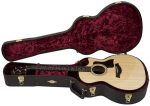 Taylor 314ce Special Edition - imagine 2
