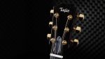Taylor T5z Custom Koa - imagine 2