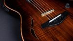 Taylor T5z Custom Koa - imagine 5