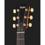 Taylor 224ce-K DLX - imagine 5